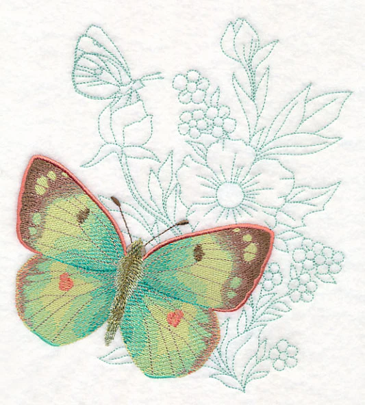 Butterfly Beauty - Colias Hyale - Image 4