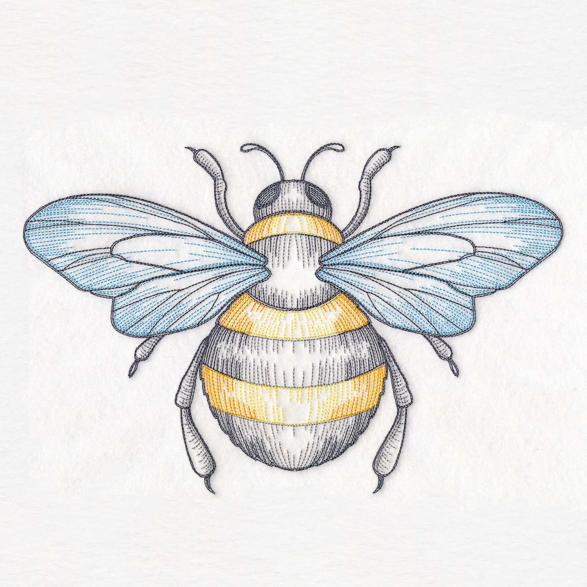 Buzzing Beauty Bee