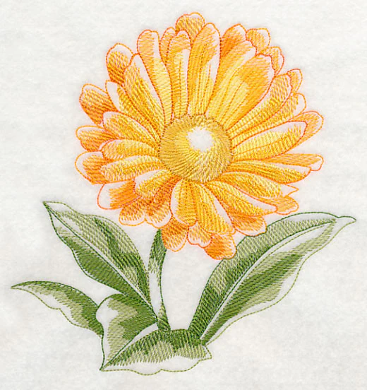 Calendula Beauty - Image 2