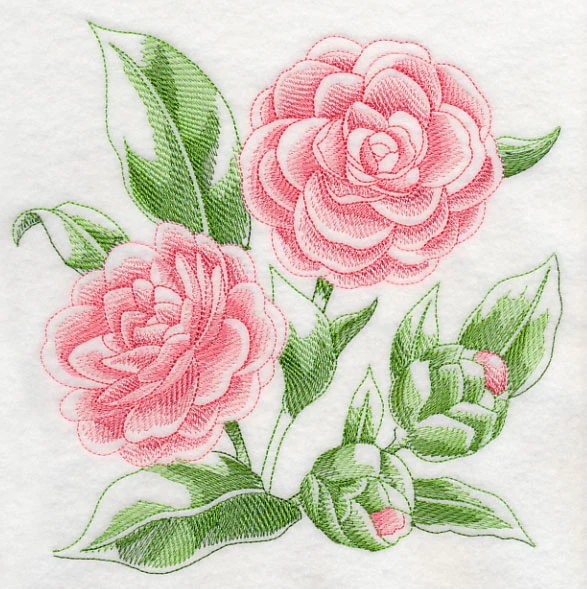 Camellia Sketch - Image 6