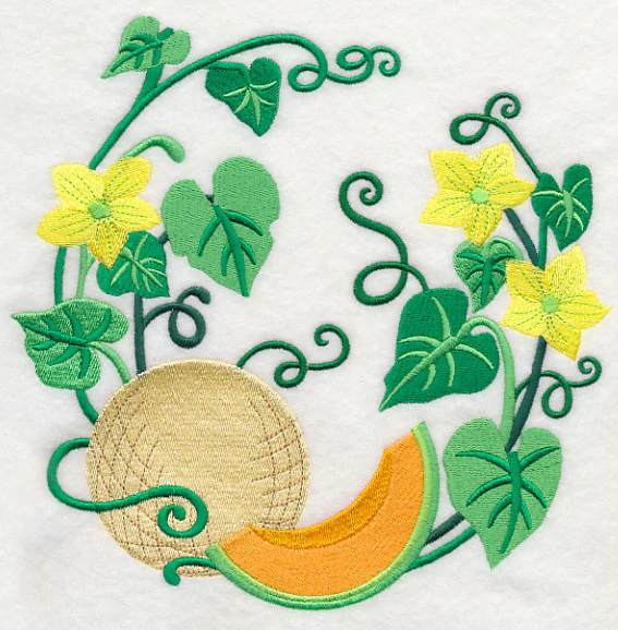 Cantaloupe Wreath - Image 6
