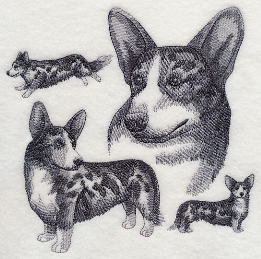 Cardigan Welsh Corgi Sketch - Merle - Image 2