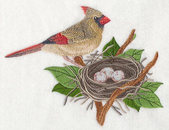 Cardinal and Nest - Image 2