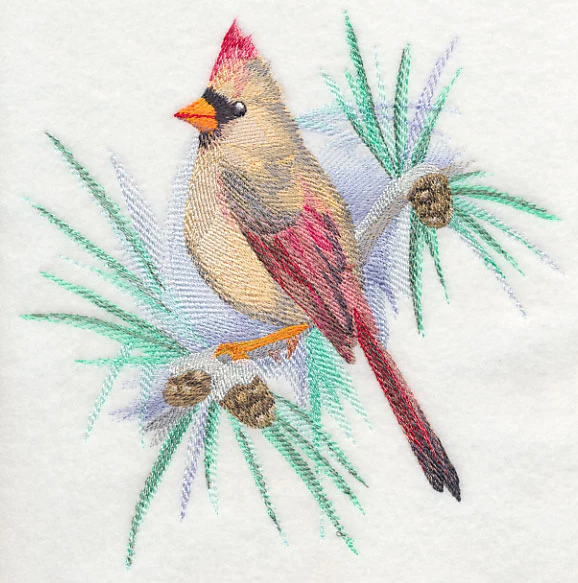 Cardinal (Female) in Watercolor - Image 5