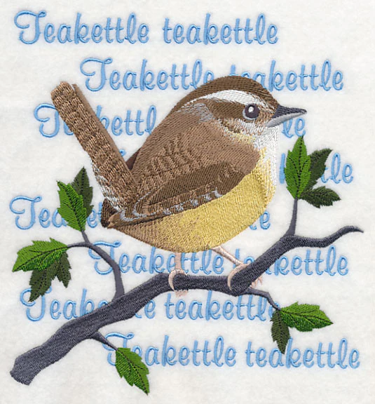 Carolina Wren Song