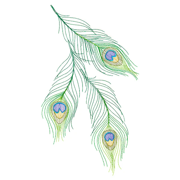 Cascading Peacock Feathers - Image 5