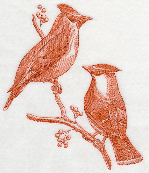 Cedar Waxwings (Toile) - Image 2