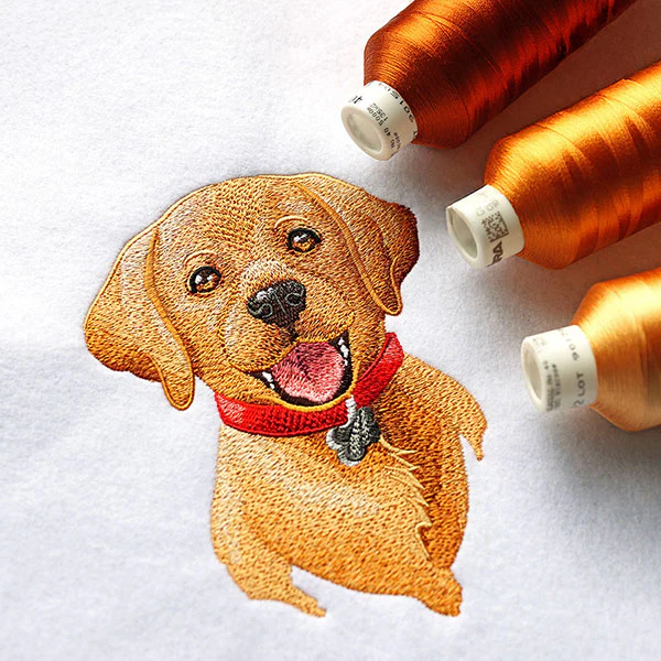 Cheerful Puppy Portrait - Image 4