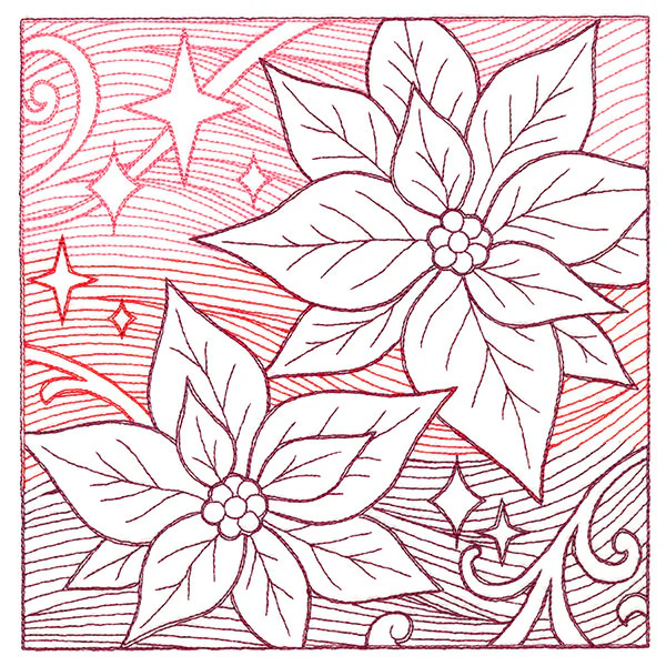 Christmas Poinsettia Etching