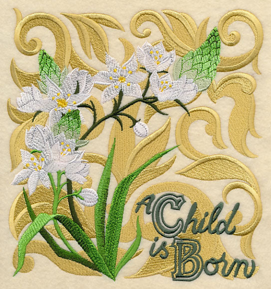 Christmas Spirit Blooms - Star of Bethlehem - Image 2