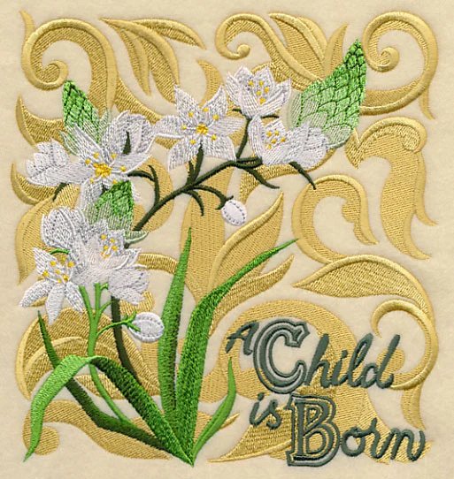Christmas Spirit Blooms - Star of Bethlehem - Image 5