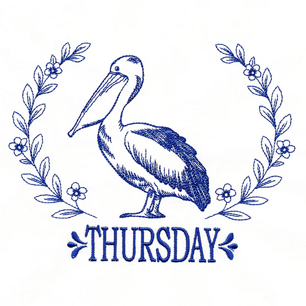 Coastal Pelican on Thursday - Image 3