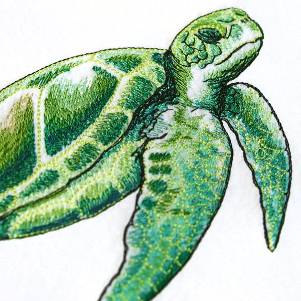 Coastal Sea Turtle - Image 4