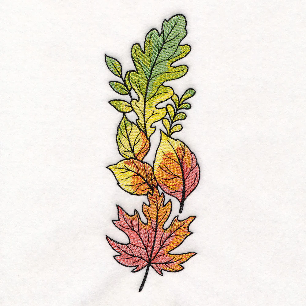 Color Theory Harvest Leaves Border - Image 5