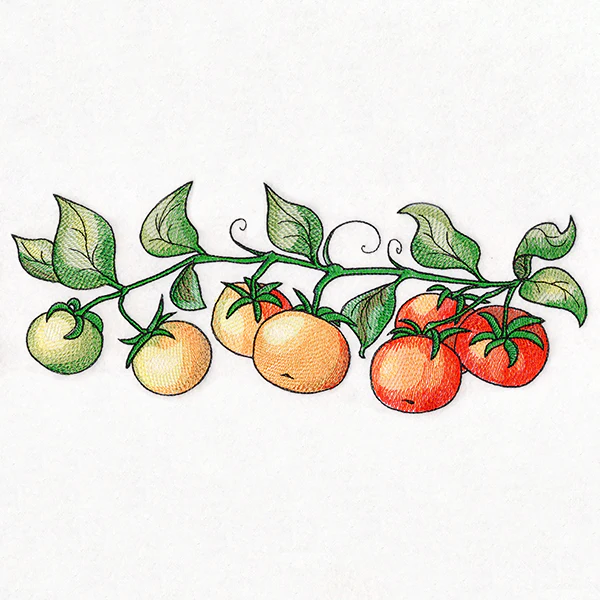 Color Theory Tomato Border - Image 10