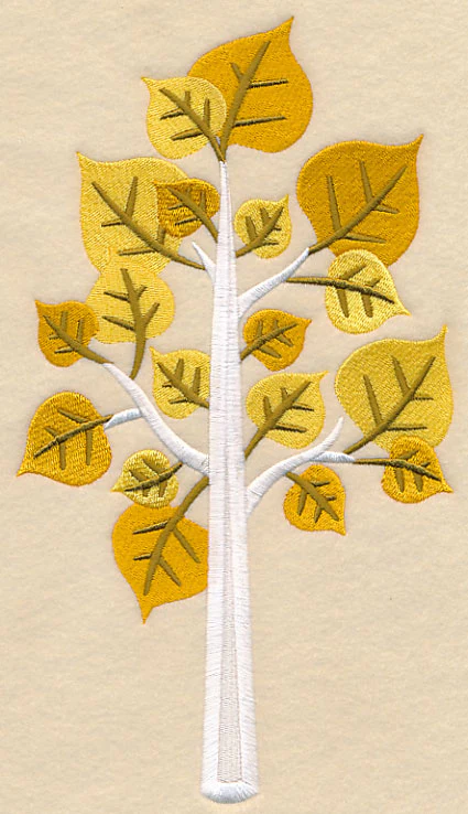 Colors of Fall - Aspen Tree - Image 6