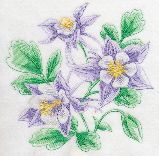 Columbine Sketch - Image 2