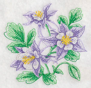 Columbine Sketch - Image 5