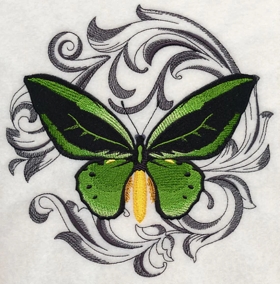 Common Green Birdwing with Baroque Background