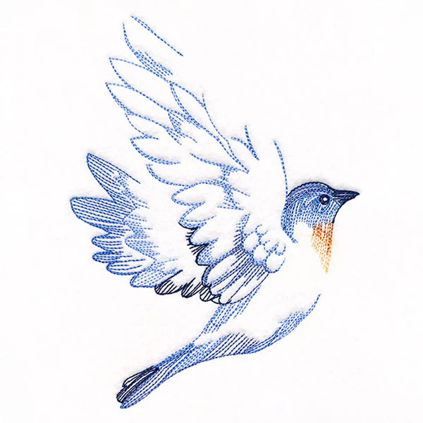 Contours of Beauty Bluebird - Image 5