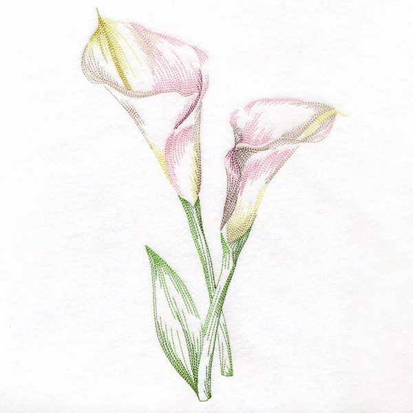 Contours of Beauty Calla Lily - Image 9
