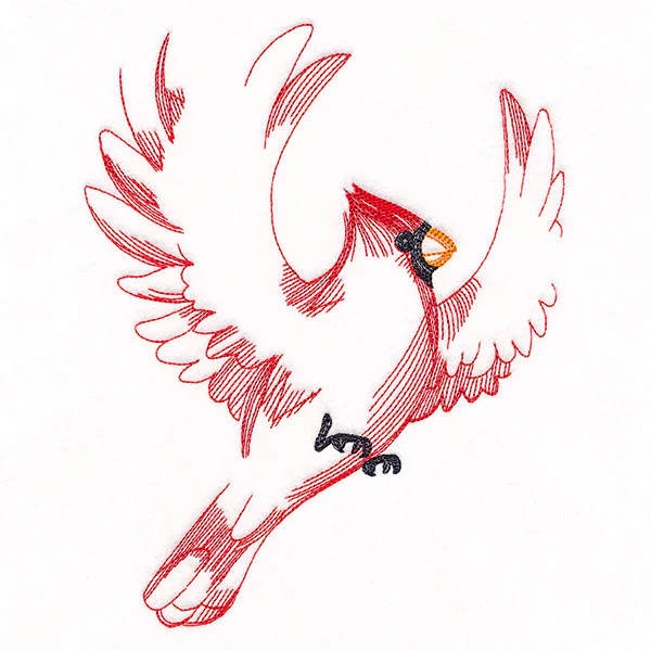 Contours of Beauty Cardinal