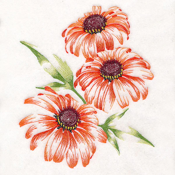 Contours of Beauty Coneflowers - Image 7