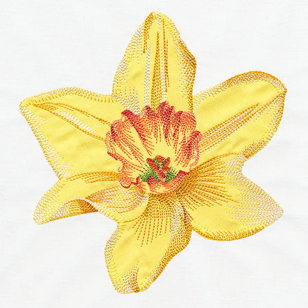 Contours of Beauty Daffodil (Applique) - Image 4