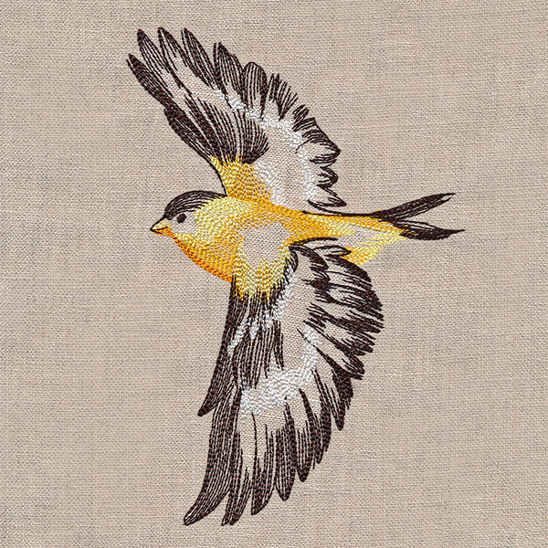 Contours of Beauty Goldfinch - Image 10