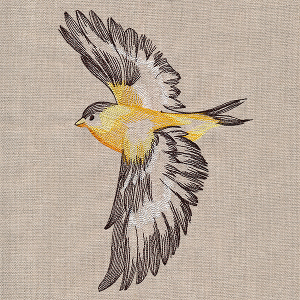 Contours of Beauty Goldfinch - Image 14