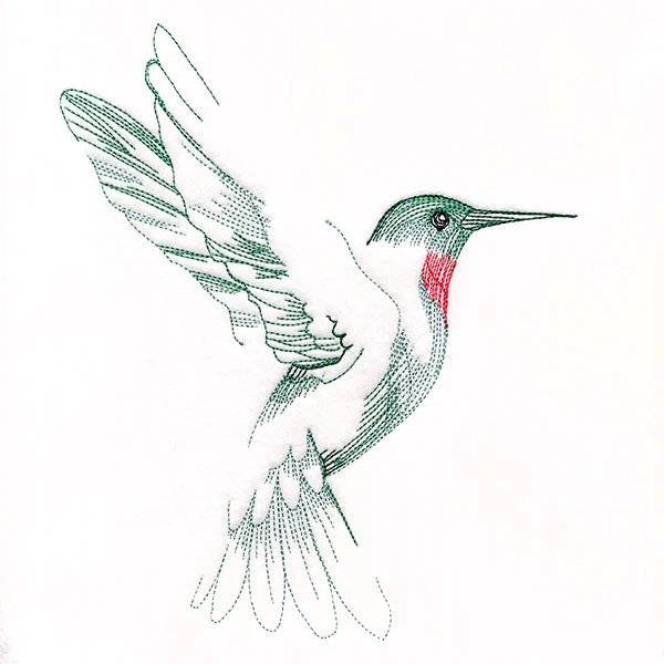 Contours of Beauty Hummingbird