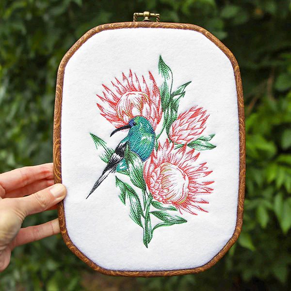 Contours of Beauty Protea and Malachite Sunbird - Image 6