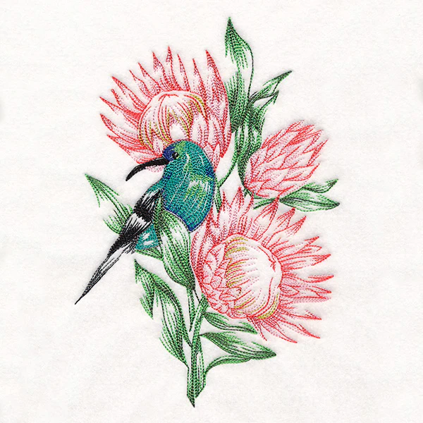 Contours of Beauty Protea and Malachite Sunbird - Image 9