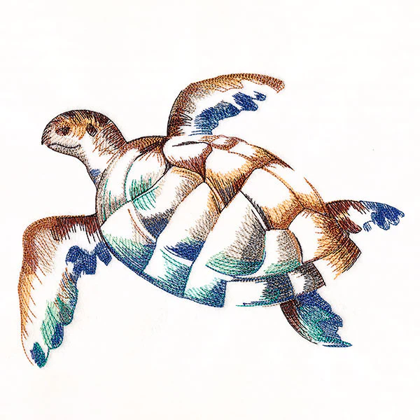 Contours of Beauty Sea Turtle
