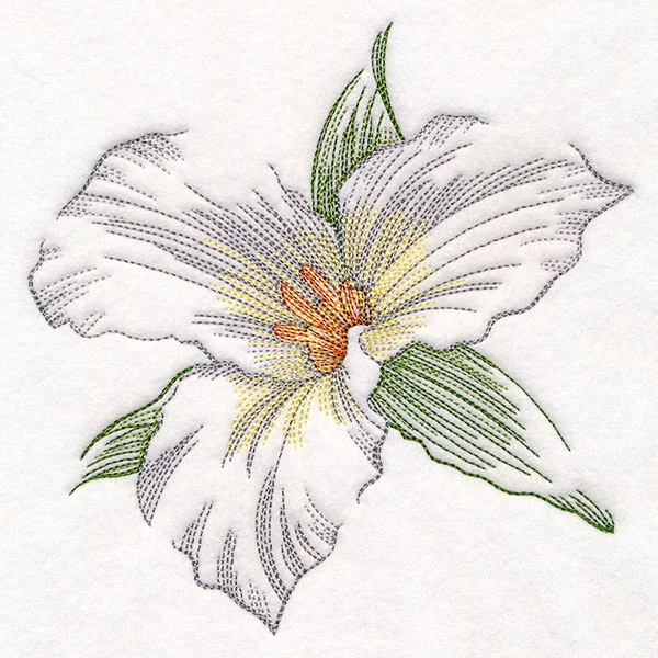 Contours of Beauty Trillium - Image 5