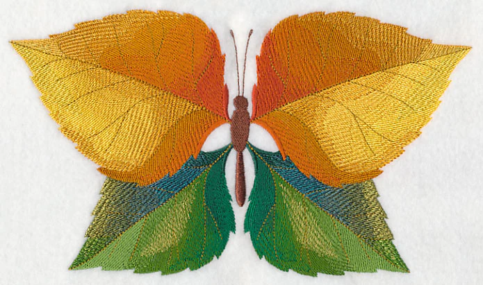 Cottonwood Leaf Butterfly - Image 2
