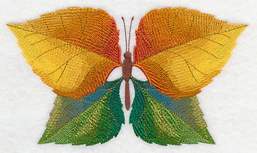 Cottonwood Leaf Butterfly - Image 4