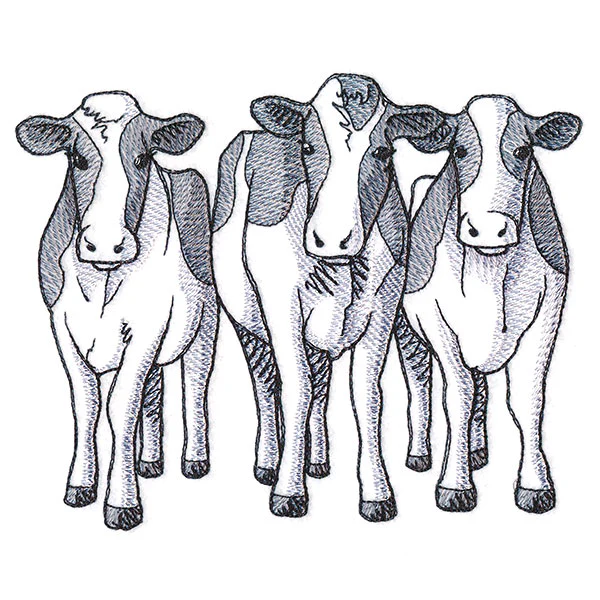 Cow Trio - Front - Image 5