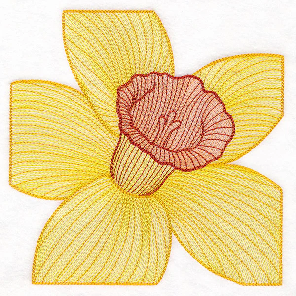 Creative Contour Macro Daffodil - Image 3