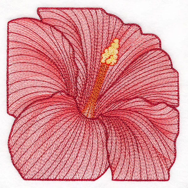 Creative Contour Macro Hibiscus - Image 4