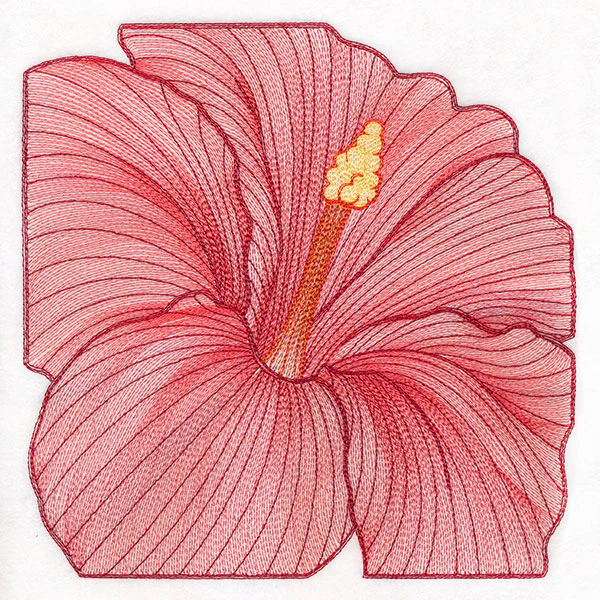 Creative Contour Macro Hibiscus - Image 5