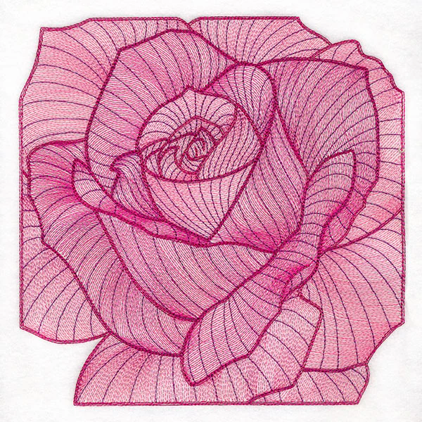 Creative Contour Macro Rose - Image 5