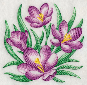 Crocus Sketch - Image 5