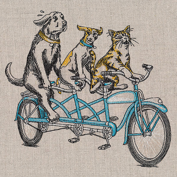 Cruisin' Pets on a Tandem - Image 4
