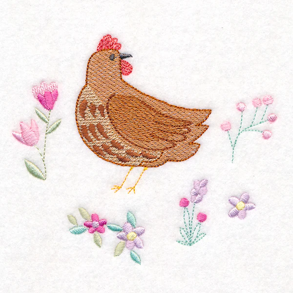 Curious Spring Chicken