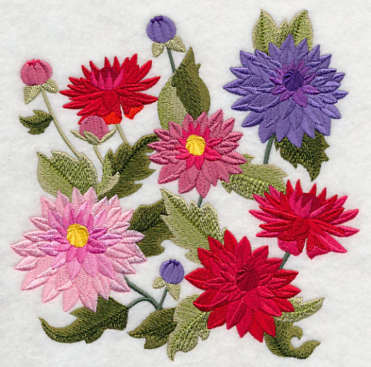 Dahlia Blossoms - Image 3