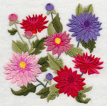 Dahlia Blossoms - Image 4