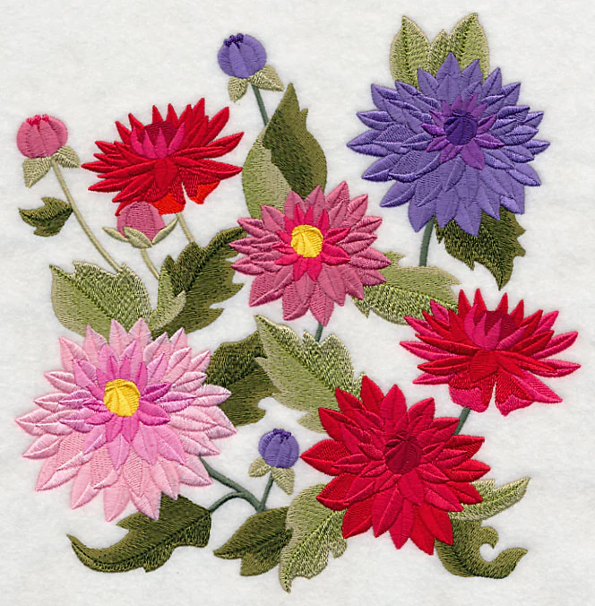 Dahlia Blossoms - Image 6