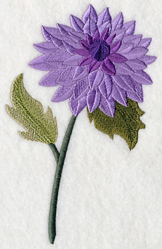 Dahlia with Long Stem - Image 3