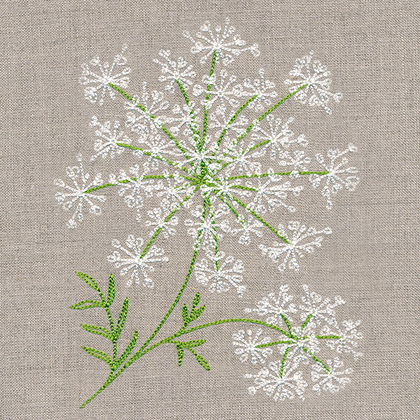 Dainty Queen Anne's Lace - Image 5